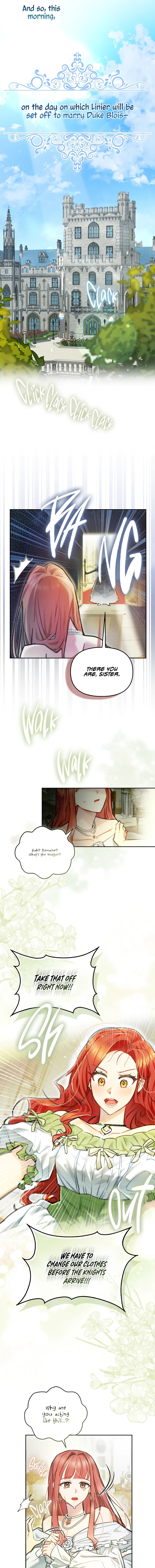 Even Though I Transmigrated as a Villainess, I’d Rather Raise a Cat Chapter 1 page 11