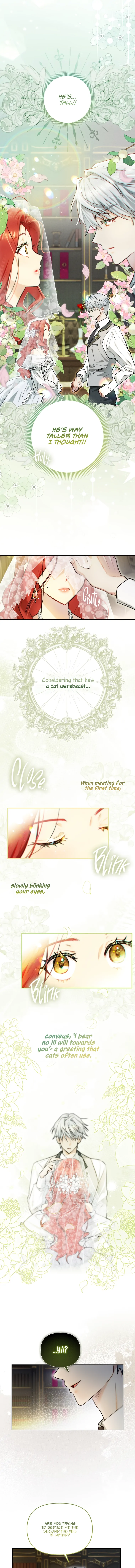 Even Though I Transmigrated as a Villainess, I’d Rather Raise a Cat Chapter 1 page 16