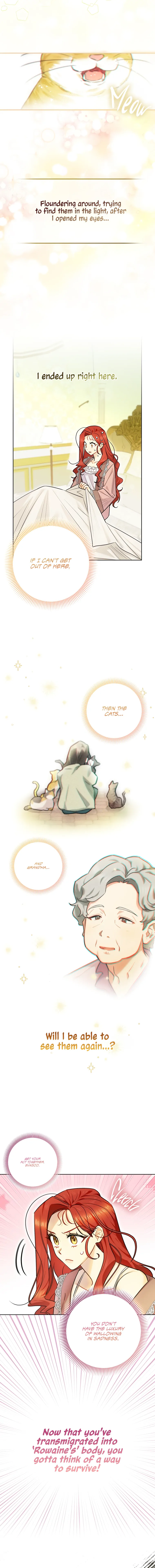Even Though I Transmigrated as a Villainess, I’d Rather Raise a Cat Chapter 1 page 7