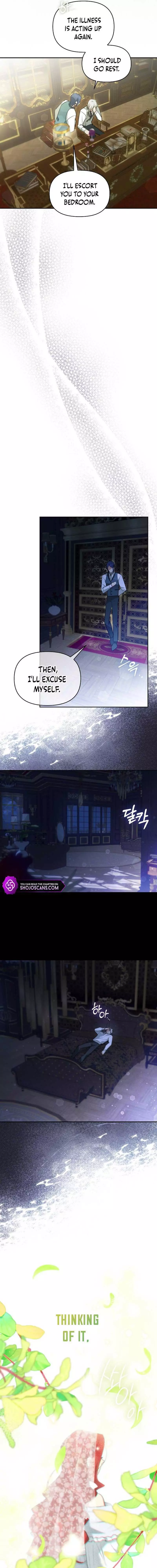 Even Though I Transmigrated as a Villainess, I’d Rather Raise a Cat Chapter 2 page 13
