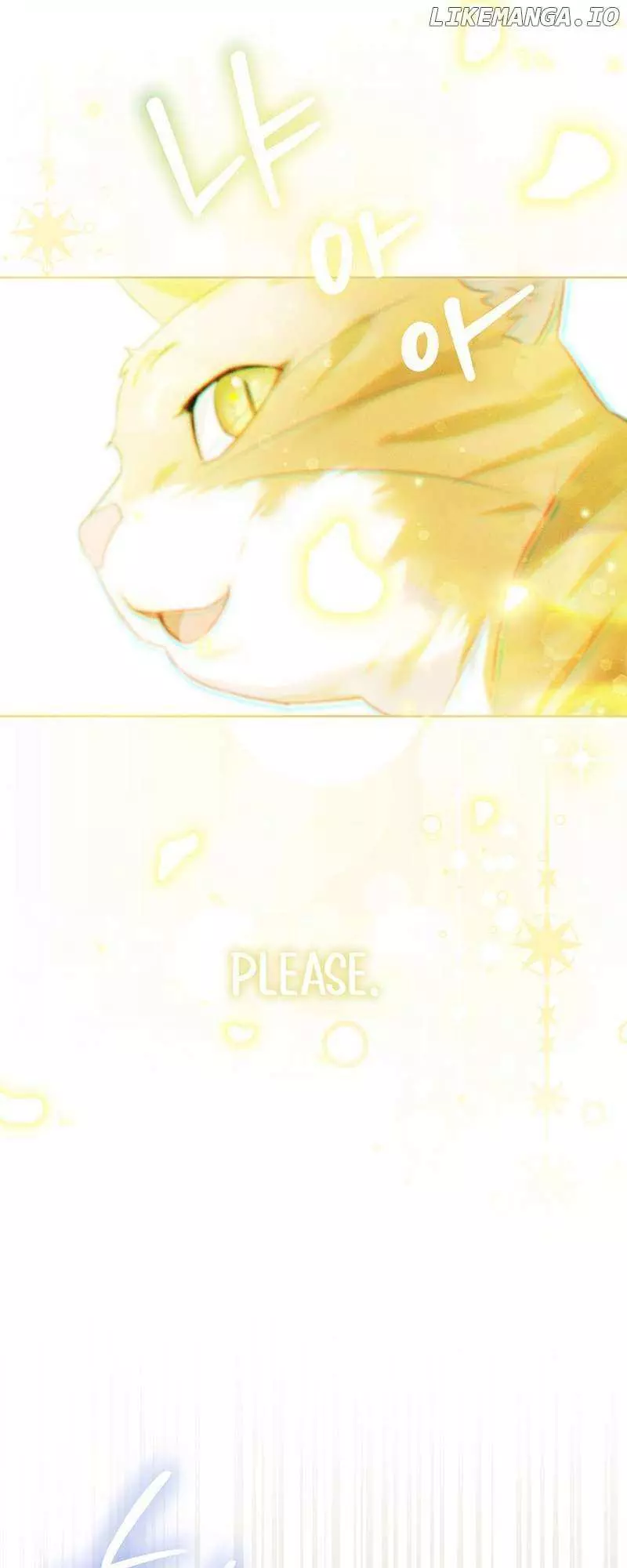 Even Though I Transmigrated as a Villainess, I’d Rather Raise a Cat Chapter 3 page 62