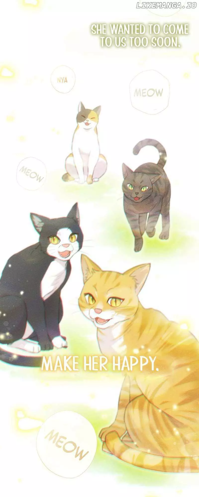 Even Though I Transmigrated as a Villainess, I’d Rather Raise a Cat Chapter 3 page 61