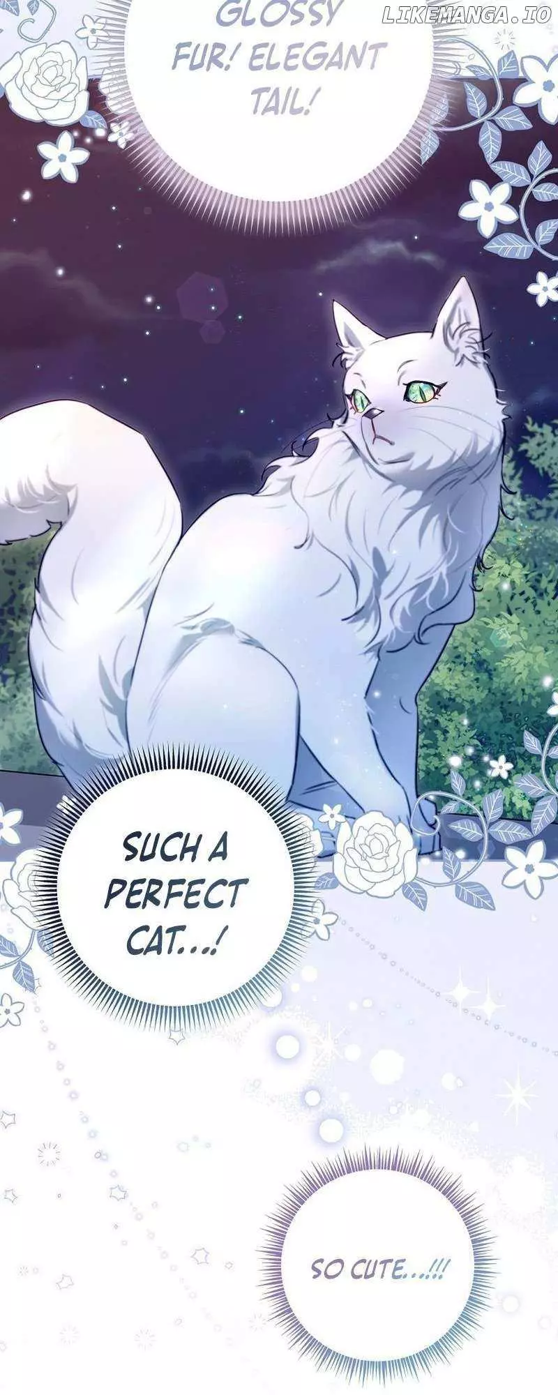 Even Though I Transmigrated as a Villainess, I’d Rather Raise a Cat Chapter 7 page 53