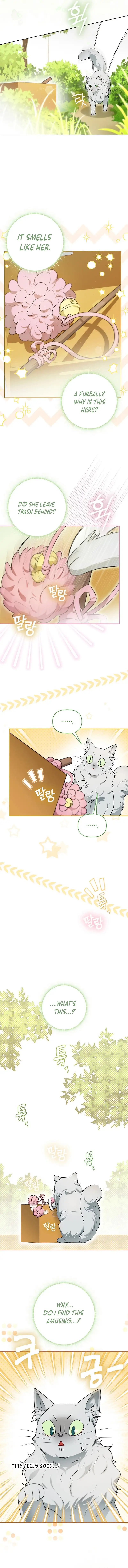 Even Though I Transmigrated as a Villainess, I’d Rather Raise a Cat Chapter 9 page 7