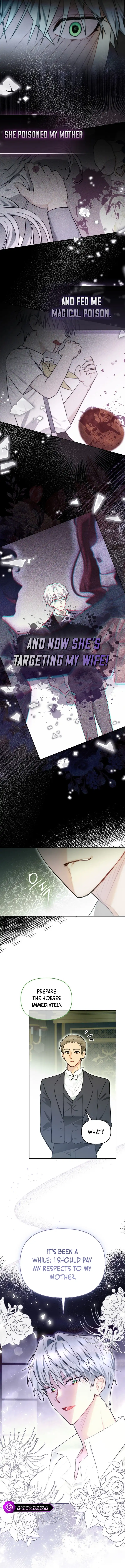 Even Though I Transmigrated as a Villainess, I’d Rather Raise a Cat Chapter 9 page 14