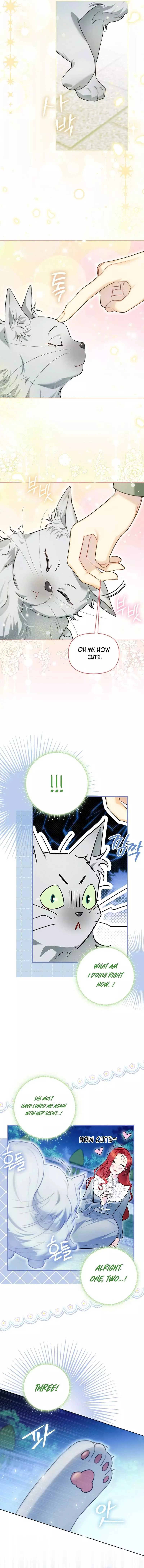 Even Though I Transmigrated as a Villainess, I’d Rather Raise a Cat Chapter 12 page 11