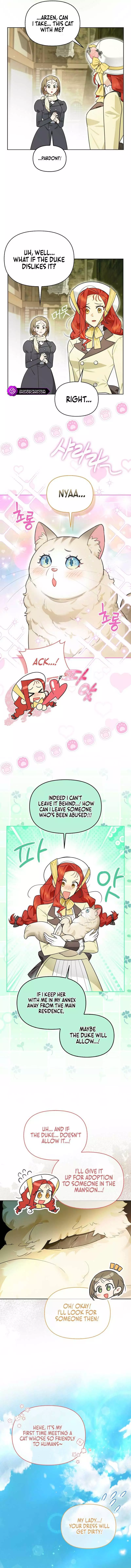 Even Though I Transmigrated as a Villainess, I’d Rather Raise a Cat Chapter 13 page 11
