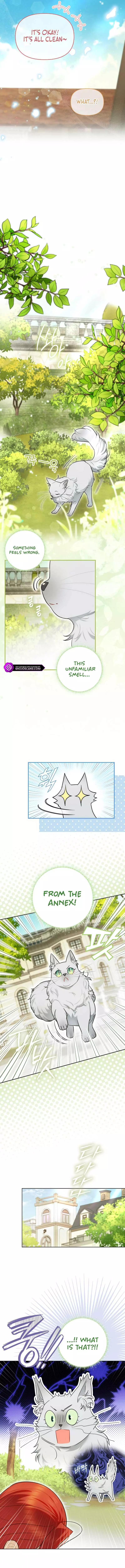 Even Though I Transmigrated as a Villainess, I’d Rather Raise a Cat Chapter 13 page 12