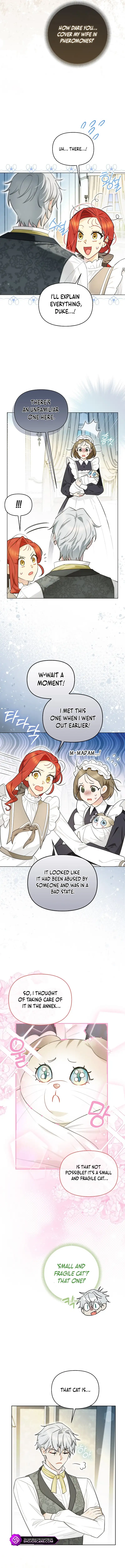 Even Though I Transmigrated as a Villainess, I’d Rather Raise a Cat Chapter 14 page 4