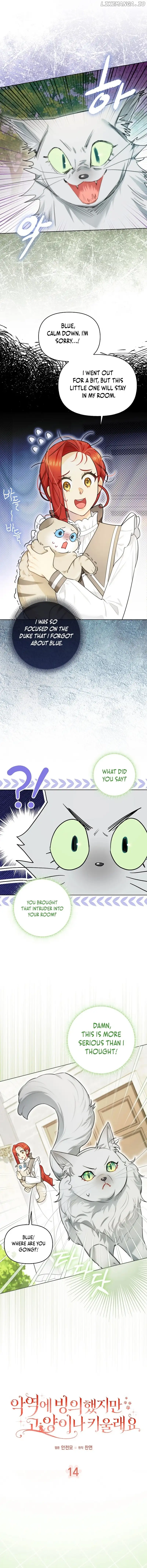 Even Though I Transmigrated as a Villainess, I’d Rather Raise a Cat Chapter 14 page 1
