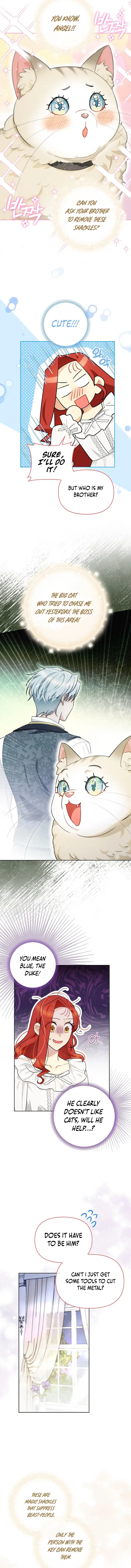 Even Though I Transmigrated as a Villainess, I’d Rather Raise a Cat Chapter 14 page 11