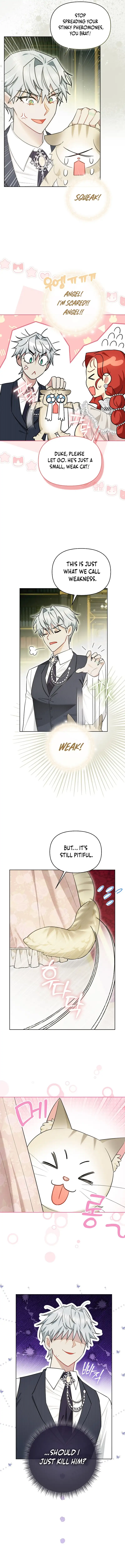 Even Though I Transmigrated as a Villainess, I’d Rather Raise a Cat Chapter 15 page 3