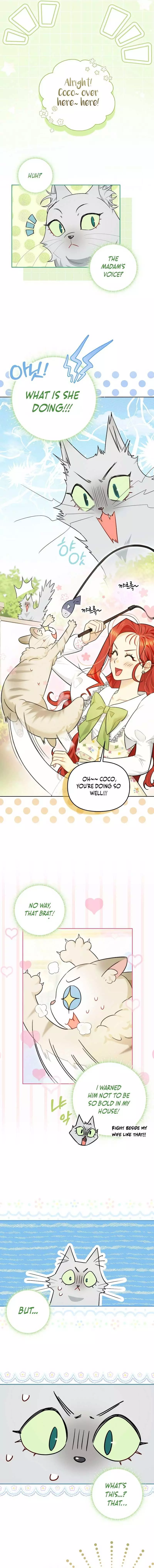 Even Though I Transmigrated as a Villainess, I’d Rather Raise a Cat Chapter 17 page 6