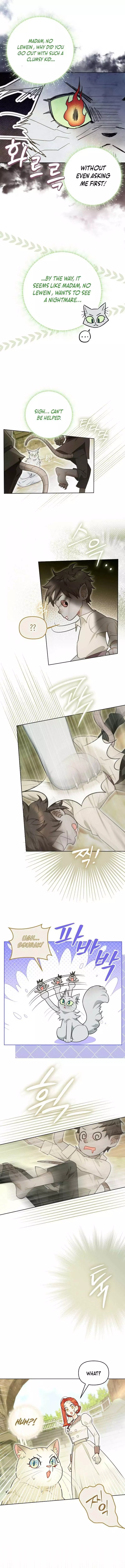 Even Though I Transmigrated as a Villainess, I’d Rather Raise a Cat Chapter 19 page 13