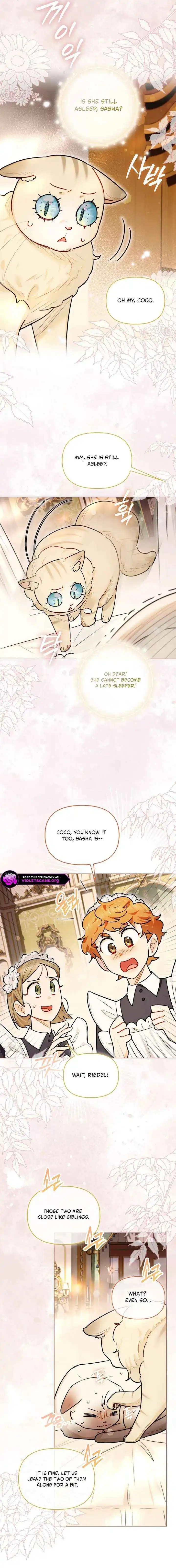 Even Though I Transmigrated as a Villainess, I’d Rather Raise a Cat Chapter 72 page 2