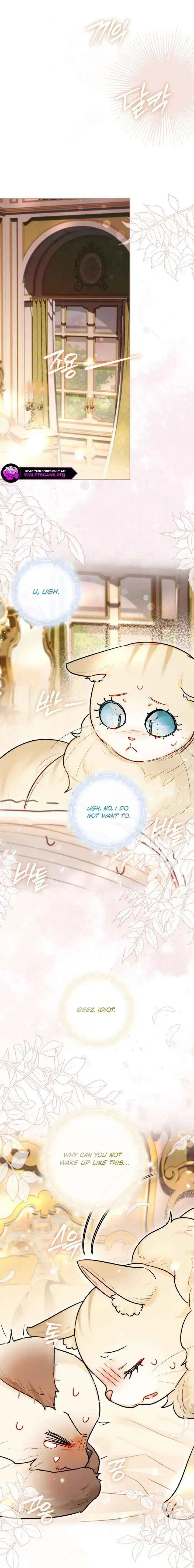 Even Though I Transmigrated as a Villainess, I’d Rather Raise a Cat Chapter 72 page 3