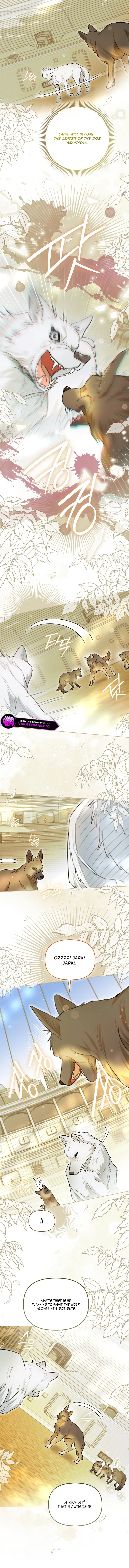 Even Though I Transmigrated as a Villainess, I’d Rather Raise a Cat Chapter 89 page 9