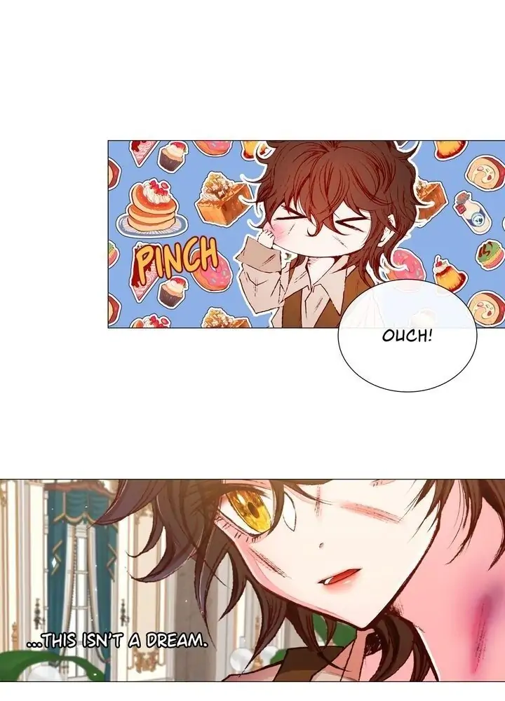 I Woke Up as the Ugly Duckling Chapter 9 page 3
