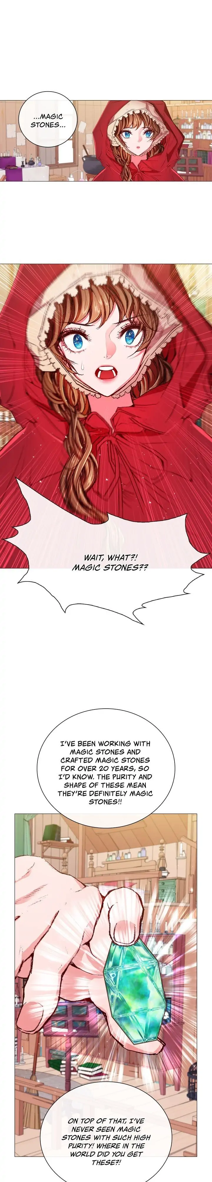 I Woke Up as the Ugly Duckling Chapter 19 page 12