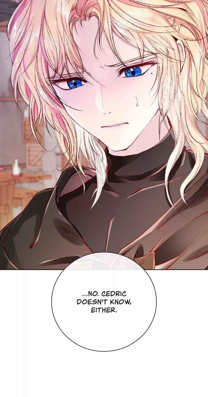 I Woke Up as the Ugly Duckling Chapter 65 page 11