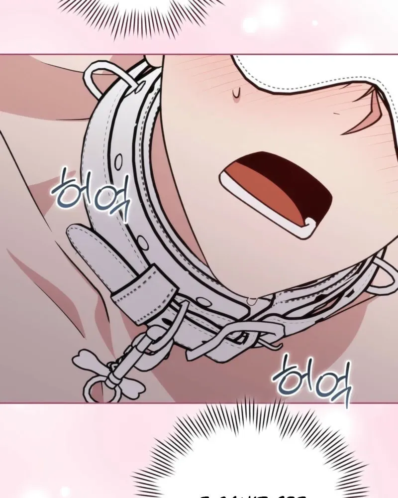 Please Step on Me, Prince! Chapter 19 page 66