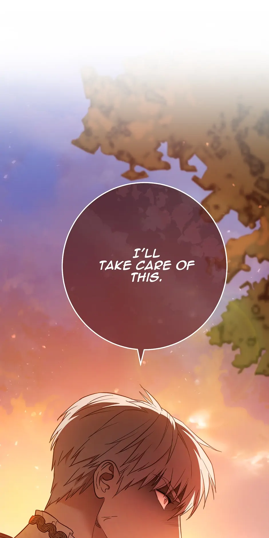 Marriage Of Convenience Chapter 30 page 74