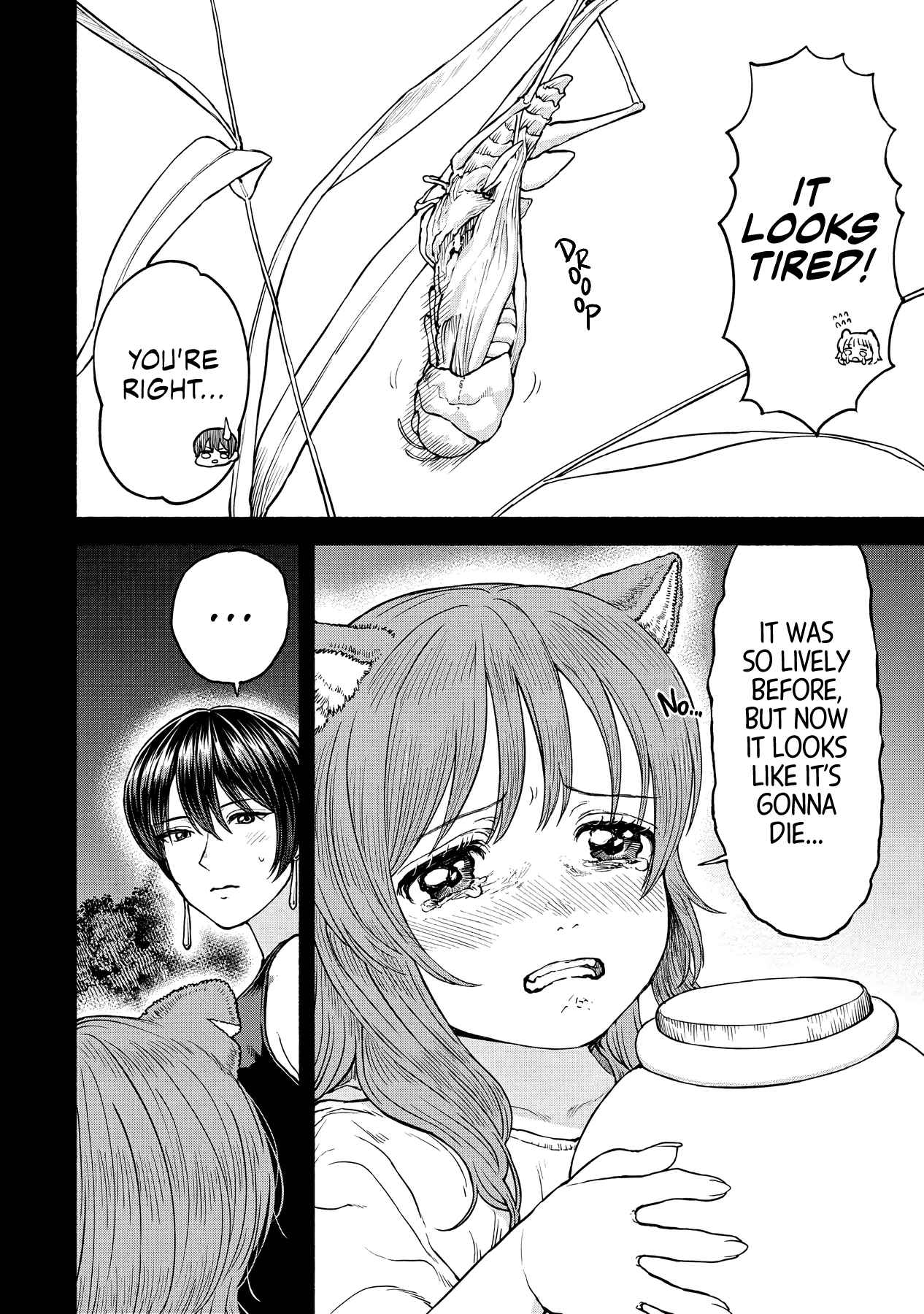 The tales of the female knight and the boy with the furry ears Chapter 20 page 6