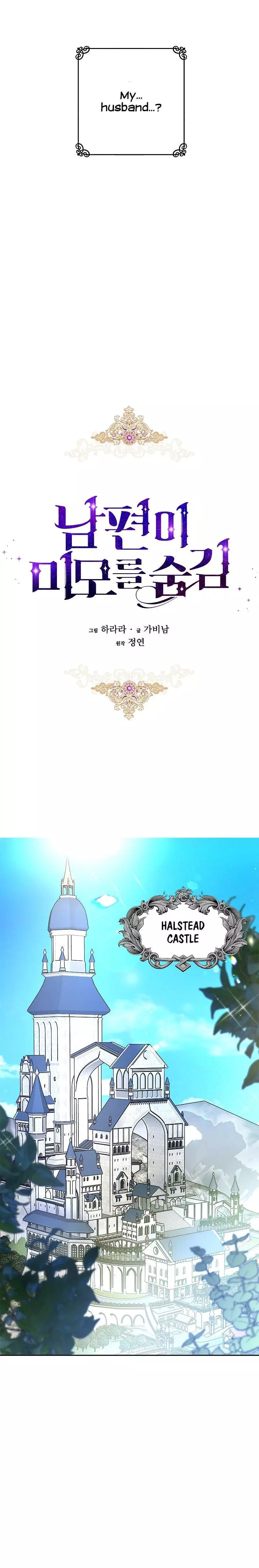 My Husband Hides His Beauty Chapter 3 page 4