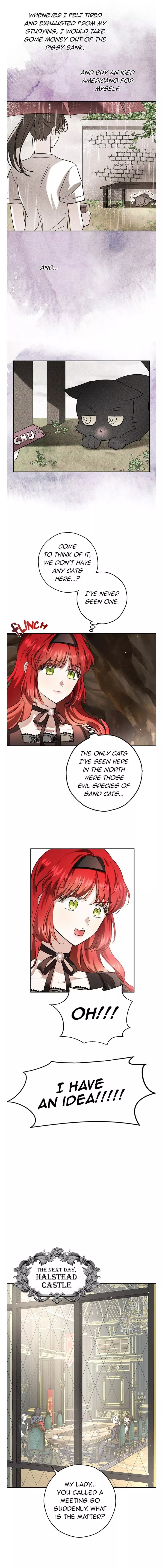 My Husband Hides His Beauty Chapter 35 page 2