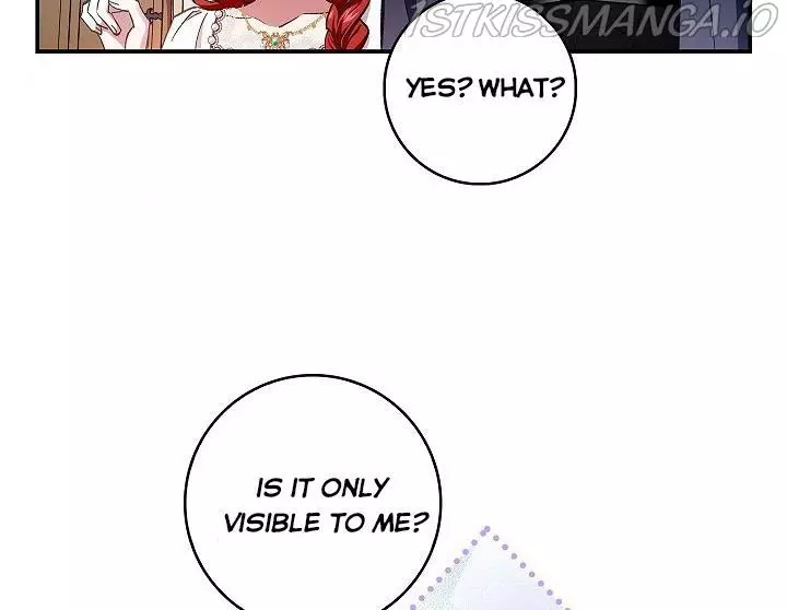 My Husband Hides His Beauty Chapter 65 page 65