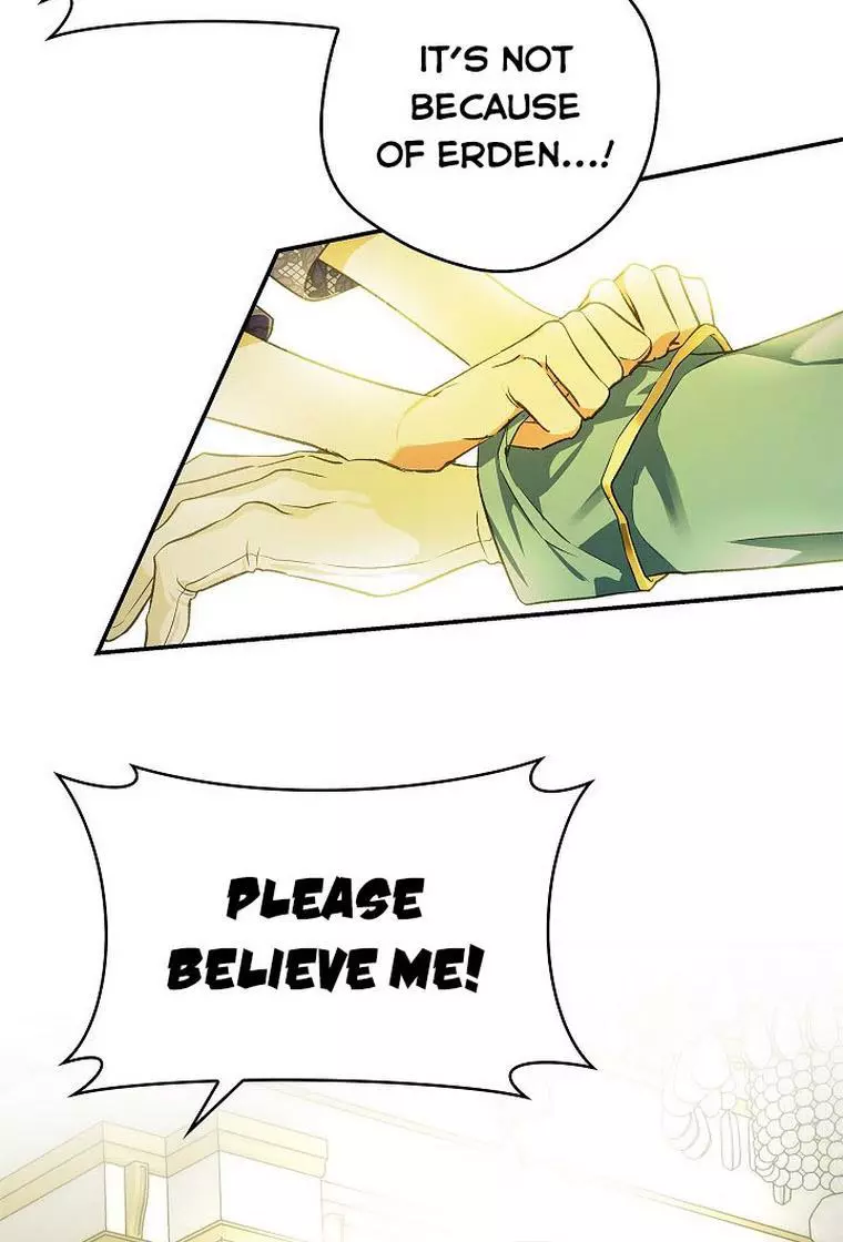 My Husband Hides His Beauty Chapter 74 page 25