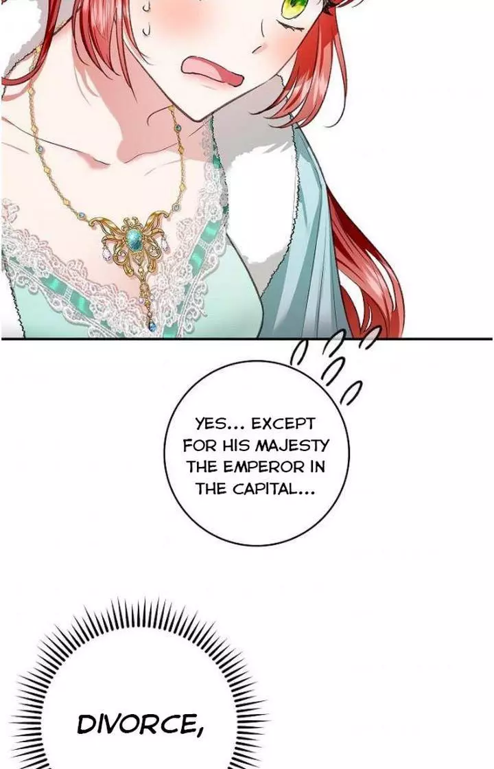 My Husband Hides His Beauty Chapter 72 page 31