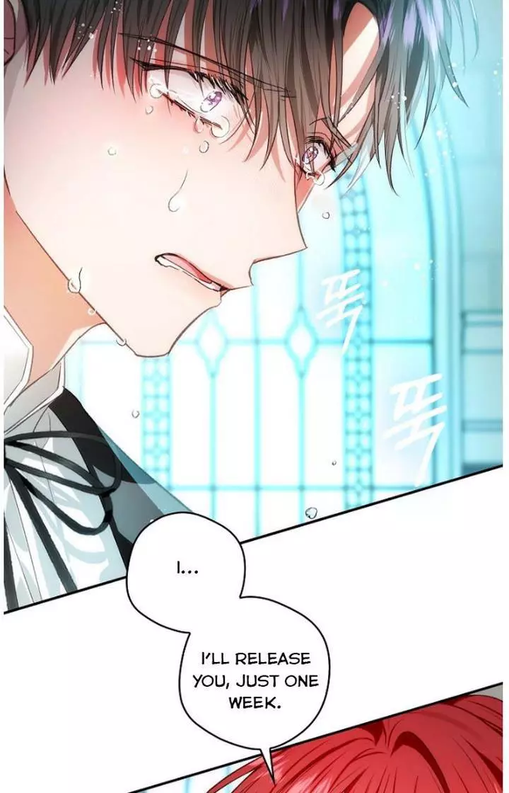My Husband Hides His Beauty Chapter 72 page 71