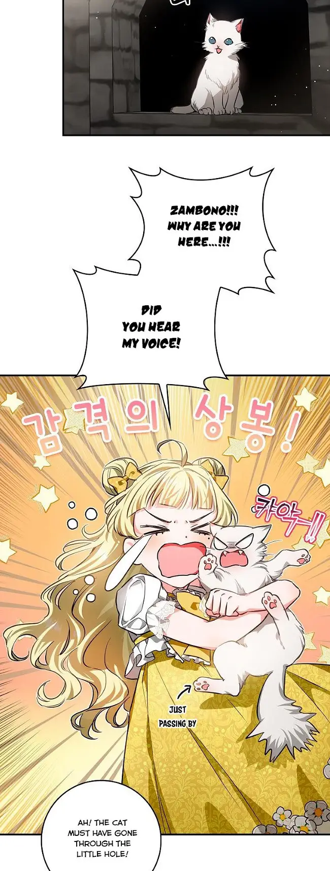 My Husband Hides His Beauty Chapter 91 page 36