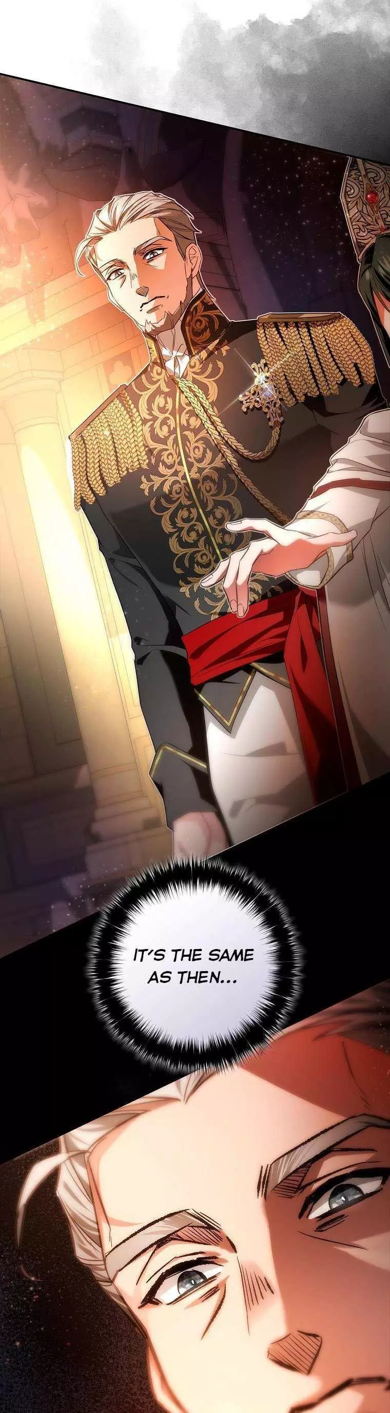 My Husband Hides His Beauty Chapter 97.5 page 17