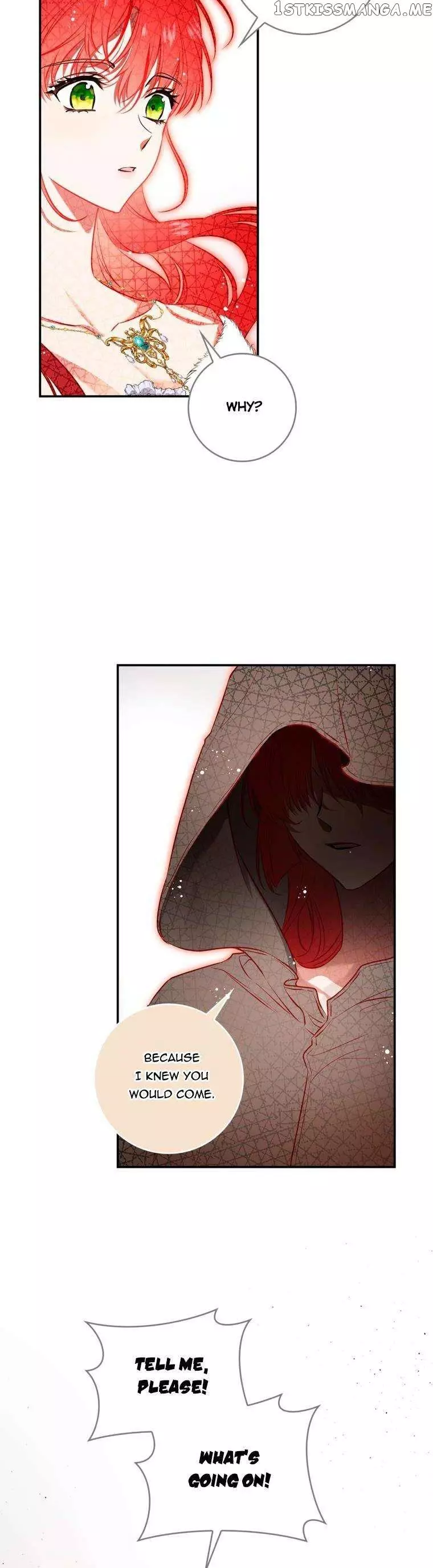 My Husband Hides His Beauty Chapter 102 page 13