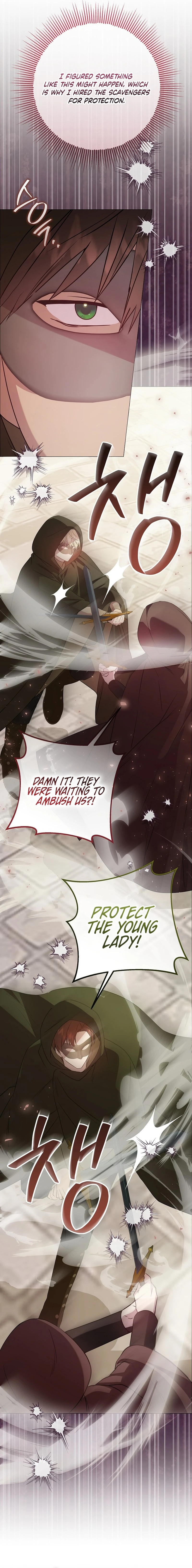 The Villainess Gets Her Sponsorship Chapter 11 page 3