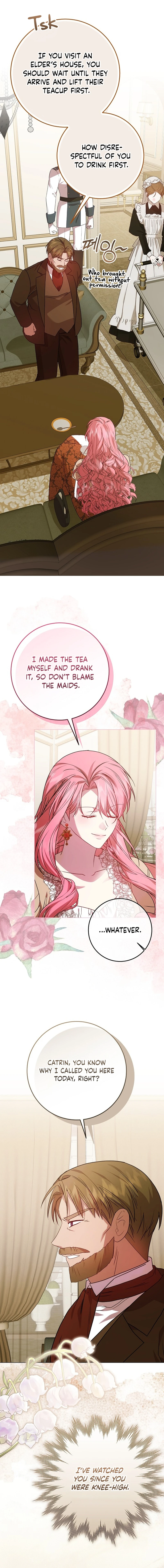 The Villainess Gets Her Sponsorship Chapter 17 page 2