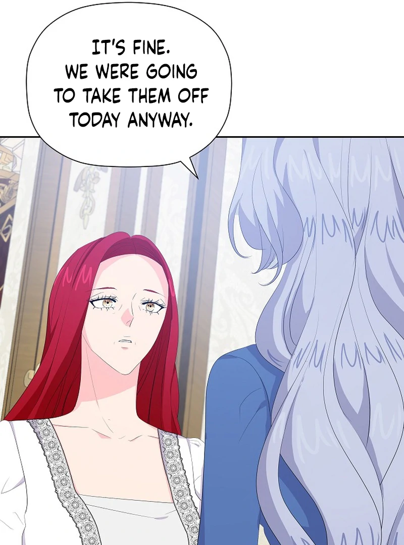 The Time-Limited Villainess Who Makes Medicine Chapter 26 page 101