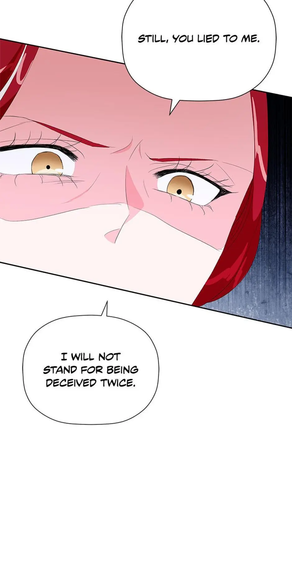 The Terminal Villainess's Cure Chapter 14 page 70