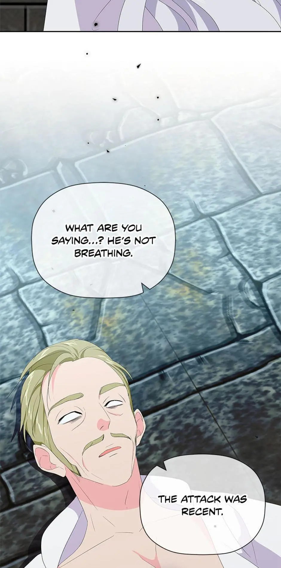The Terminal Villainess's Cure Chapter 18 page 17