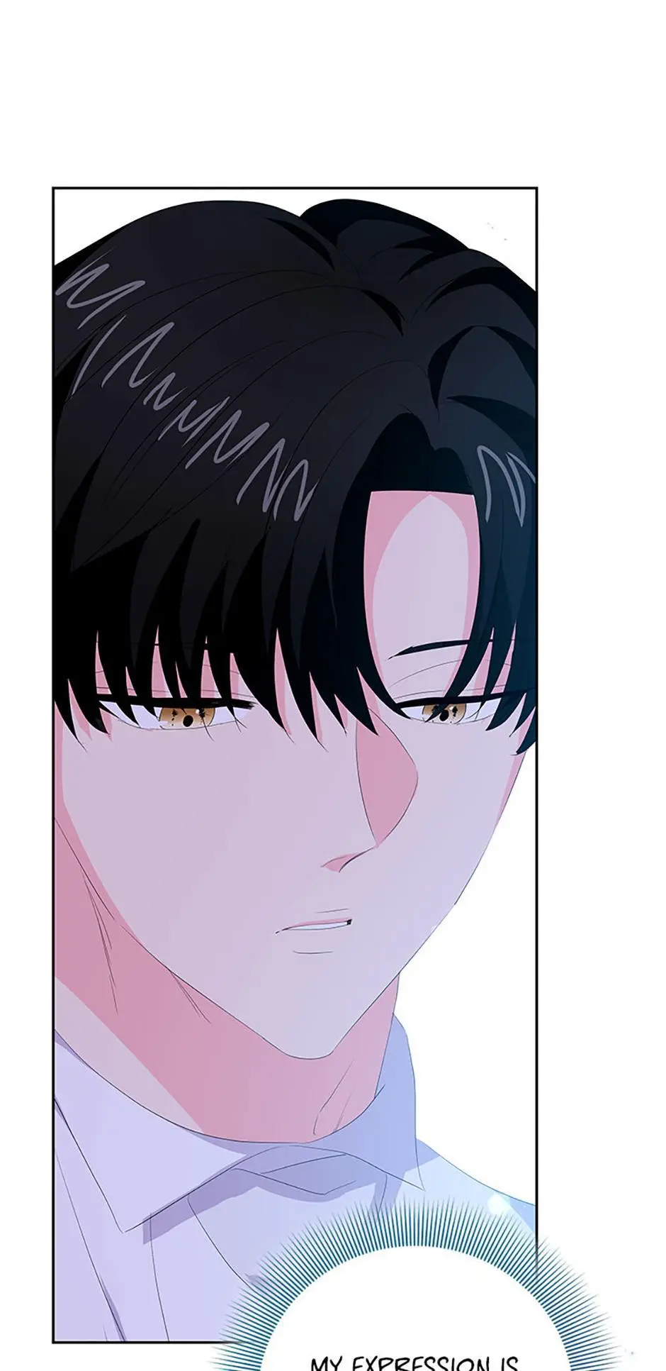 The Terminal Villainess's Cure Chapter 27 page 68