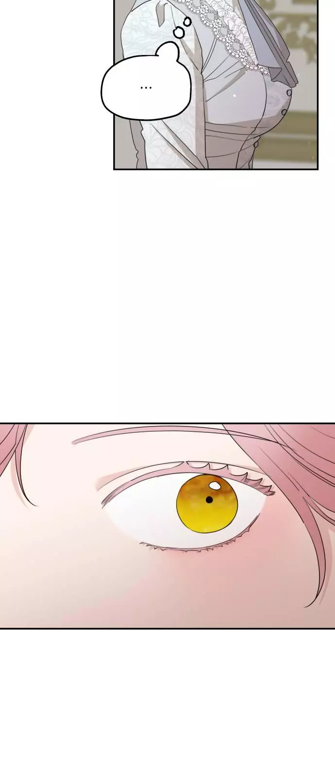 My In-laws are Obsessed With Me Chapter 33 page 47