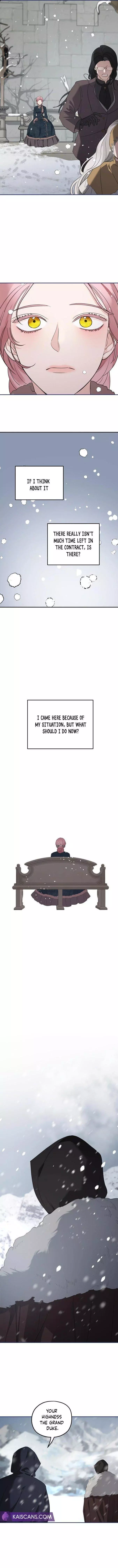 My In-laws are Obsessed With Me Chapter 85 page 10
