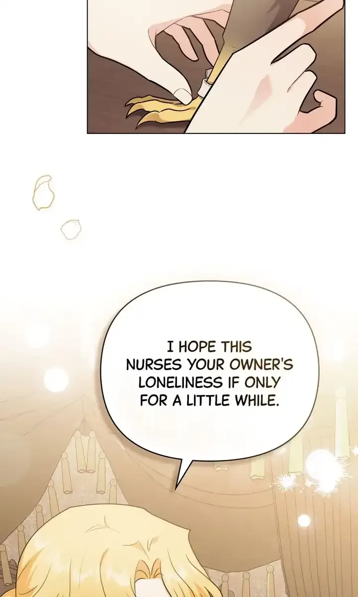 Finding Camellia Chapter 96.4 page 43