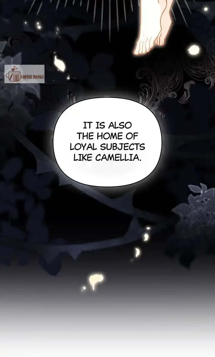 Finding Camellia Chapter 105 page 24