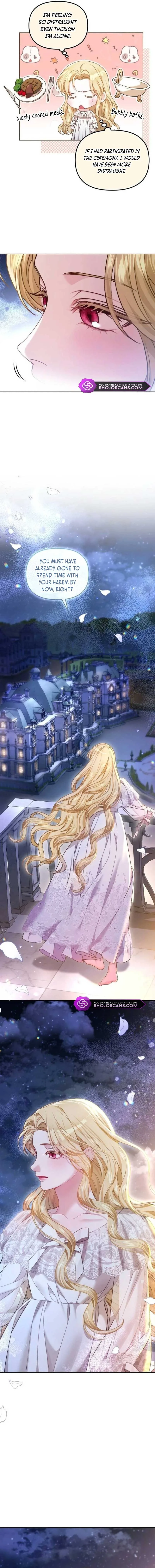 I Was The Acting Empress But I Spent The First Night With Him Chapter 14 page 17