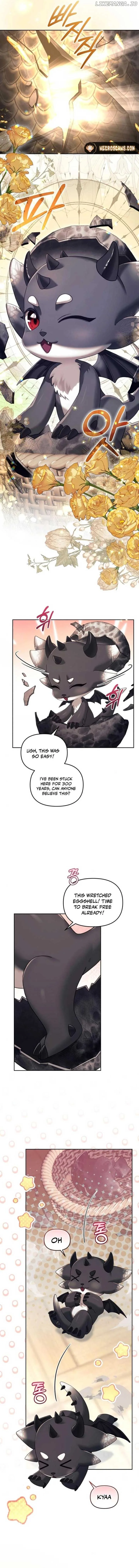 I Was The Acting Empress But I Spent The First Night With Him Chapter 28 page 12