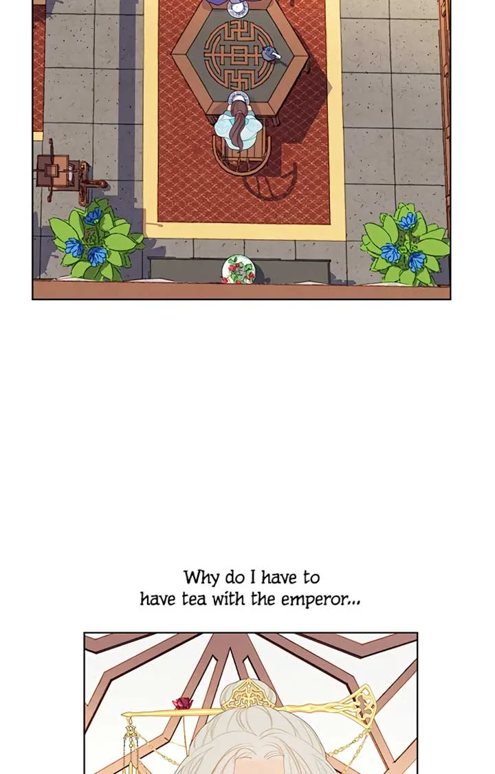 There’s 49 Left, Master! Chapter 32 page 4