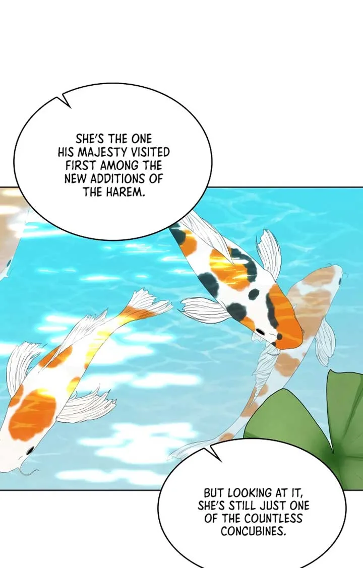 There’s 49 Left, Master! Chapter 42 page 70